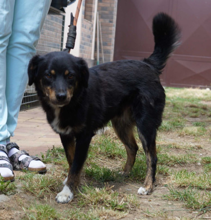 Zoli